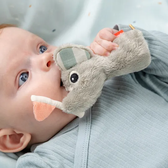 Done By Deer Celebration Sensory Rammelaar - Colour Mix