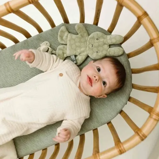 Nijntje Speendoekje - Green Flower