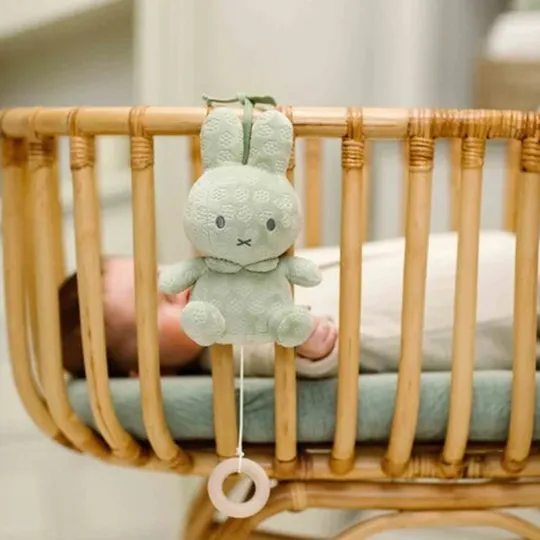 Nijntje Muziekdoosje - Green Flower