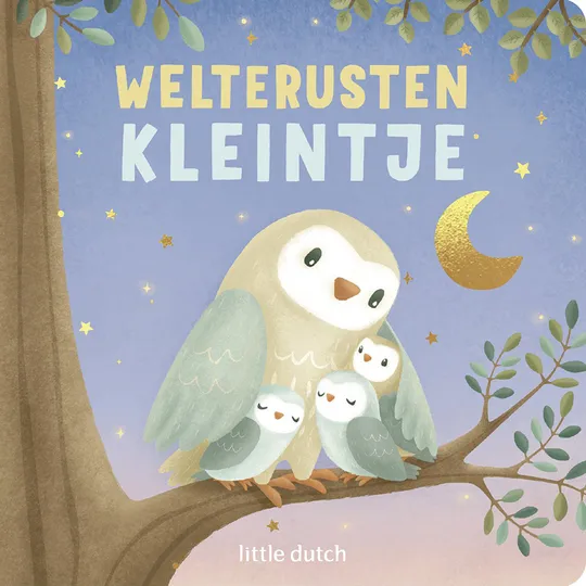 Little Dutch Boekje - Welterusten Kleintje