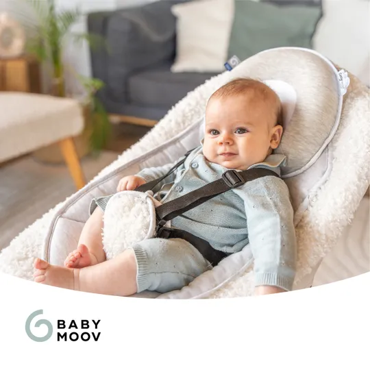 Babymoov Ergonomisch Hoofdkussen - Smokey