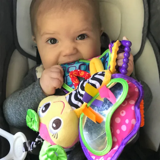 Playgro Activity Friend Butterfly On the Go - Blossom