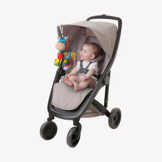 Playgro Activiteitenspeeltje - Clip Clop