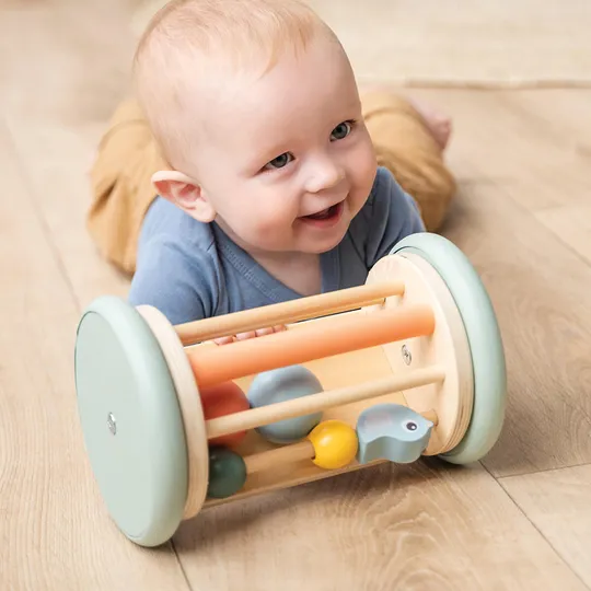 Done By Deer Birdee Activiteiten Roller - Colour Mix