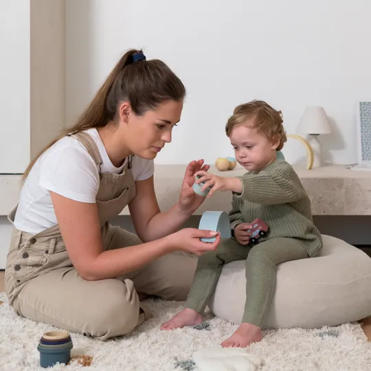 Doomoo Buddy Relax Cover