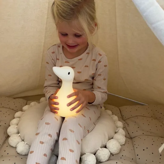 Flow Amsterdam Liva Nachtlampje