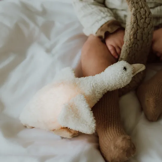 Flow Amsterdam Night Light Plush Liva