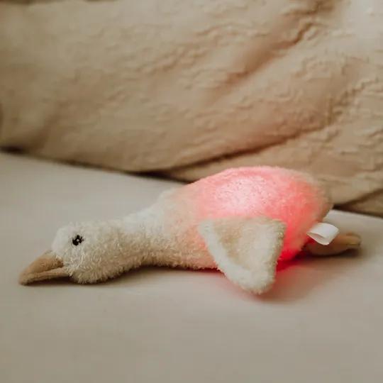 Flow Amsterdam Night Light Plush Liva