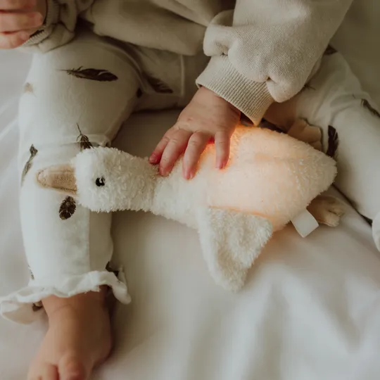 Flow Amsterdam Night Light Plush Liva