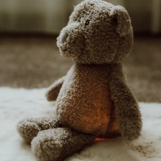 Flow Amsterdam Night Light Plush Lou