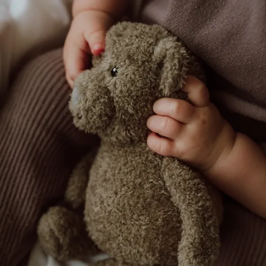 Flow Amsterdam Night Light Plush Lou