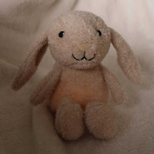 Flow Amsterdam Night Light Plush Milo