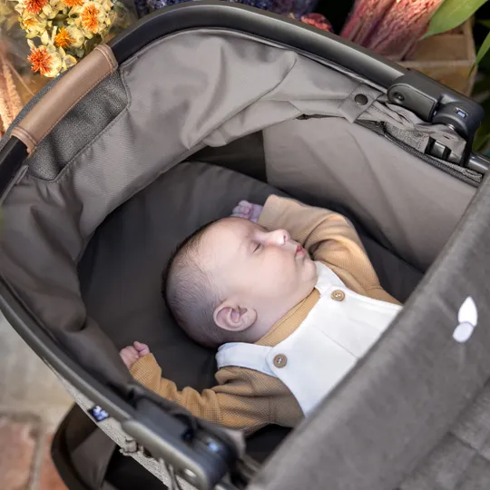 Joie Reiswieg Honour Thunder	