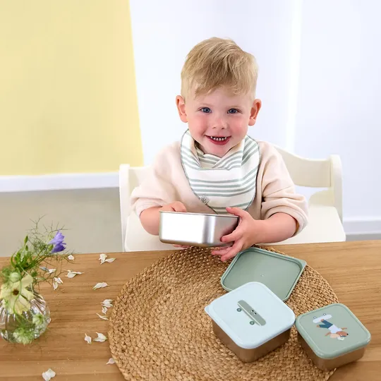 Lässig Tiny Team Dog Snackbox - 3 Stuks - Roestvrijstaal - Groen