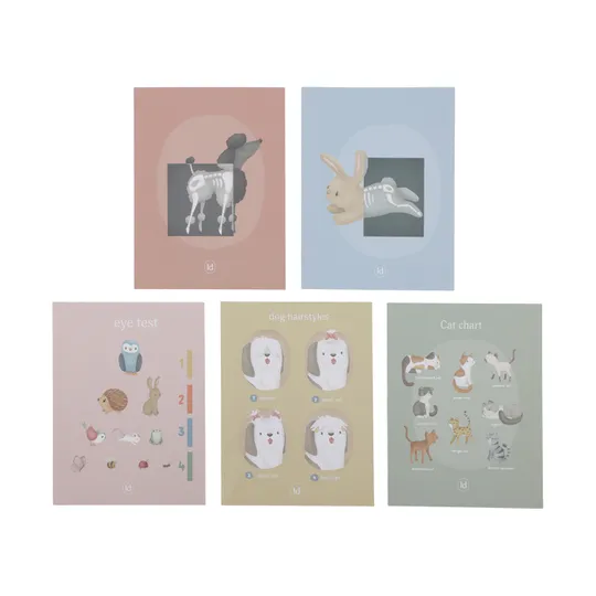 Little Dutch Dierenarts Set 