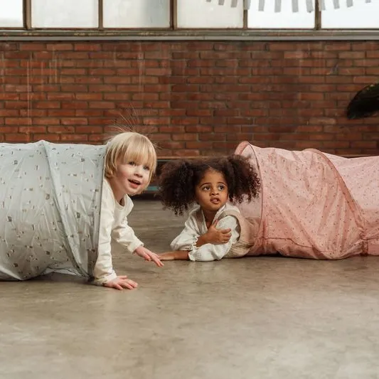 Little Dutch Fairy Garden Kruiptunnel