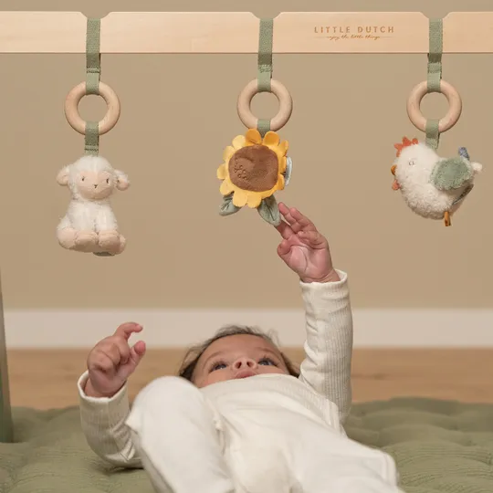 Little Dutch Babygym Little Farm