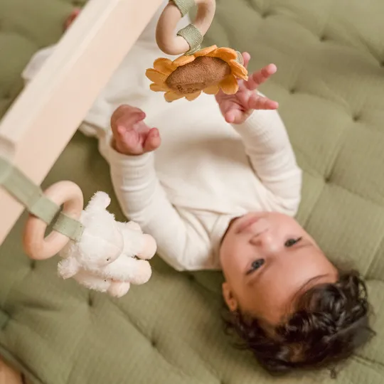 Little Dutch Babygym Little Farm