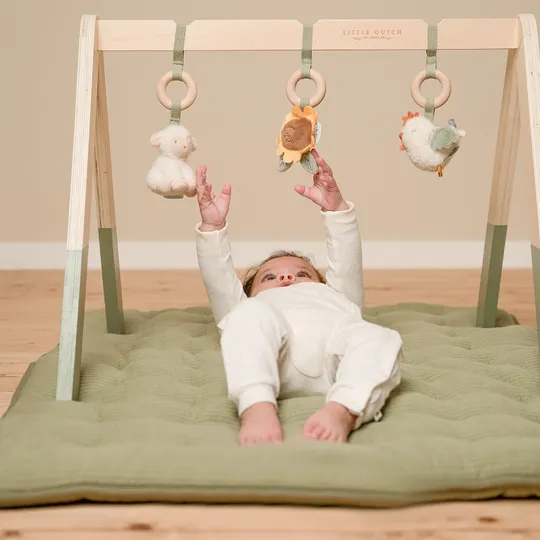 Little Dutch Babygym Little Farm