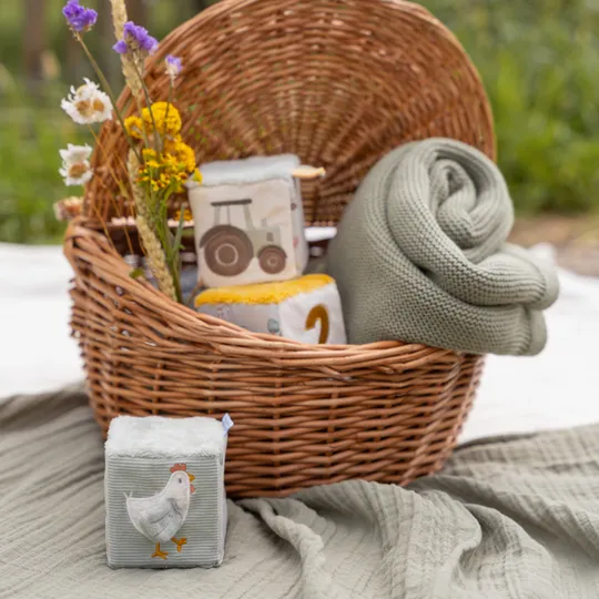 Little Dutch Zachte Blokken Little Farm