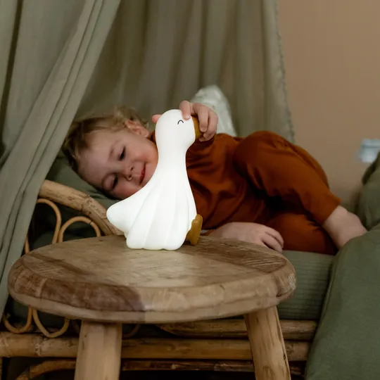 Little Dutch Nachtlampje Little Goose 

