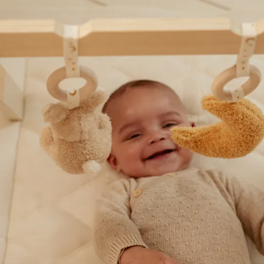 Little Dutch Naturals Newborn Babygym