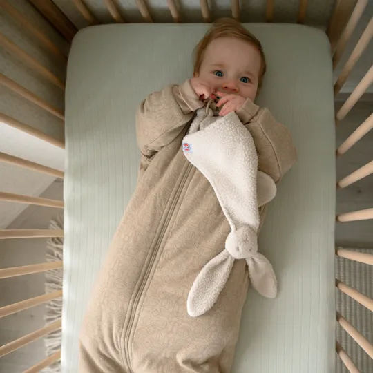 Lodger Hopper Slaapzak 4 Seasons mt 68-98