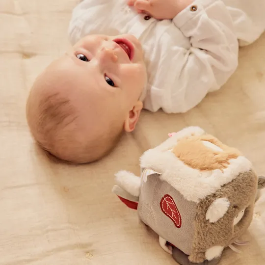 Noukie's F&O Multi Activiteiten Kubus - 11 x 11 x 11 cm