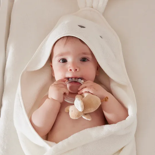 Noukie's B&M Rammelaar – Bali