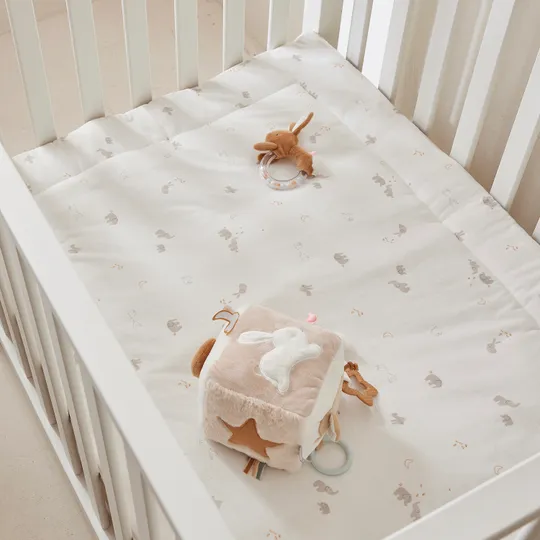 Noukie's B&M Rammelaar – Moka