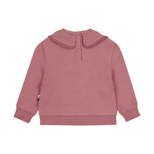 Dirkje Trui Kraagje - Mauve