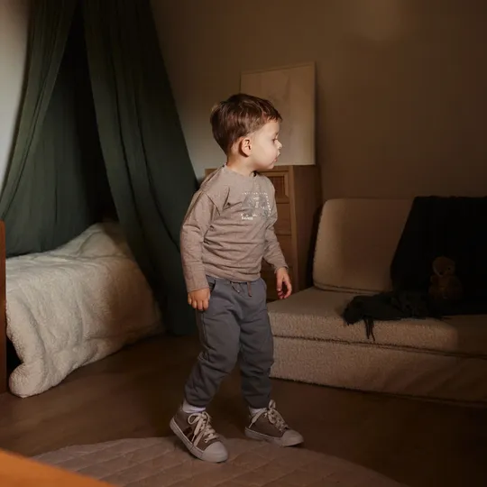 Dirkje T‑Shirt LS – Faded Brown