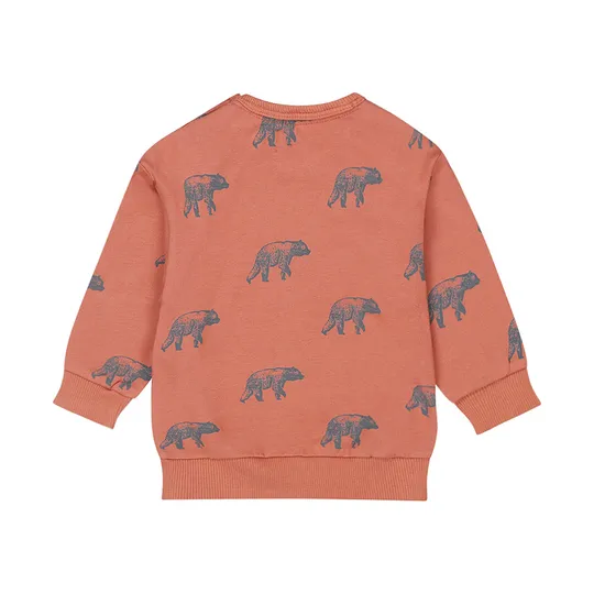 Dirkje Bears Trui - Rust