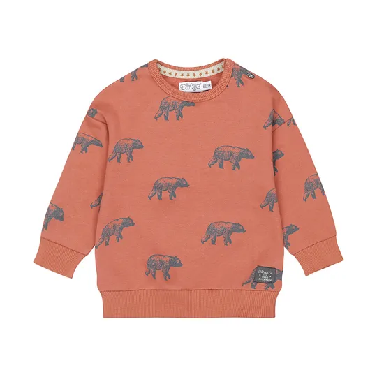 Dirkje Bears Trui - Rust