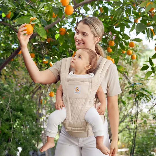 Ergobaby Alta Hip Seat