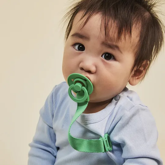 BiBs Fopspeen - Rond - 2 Stuks - 0-6 Mnd - Matcha / Cactus