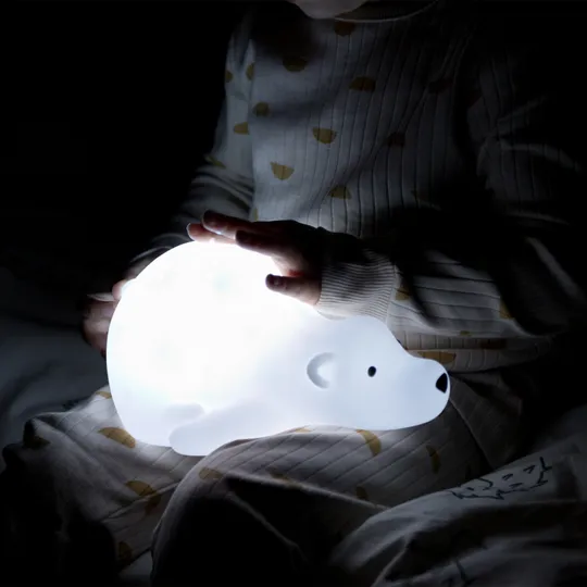 Flow Amsterdam Bjorn Projector