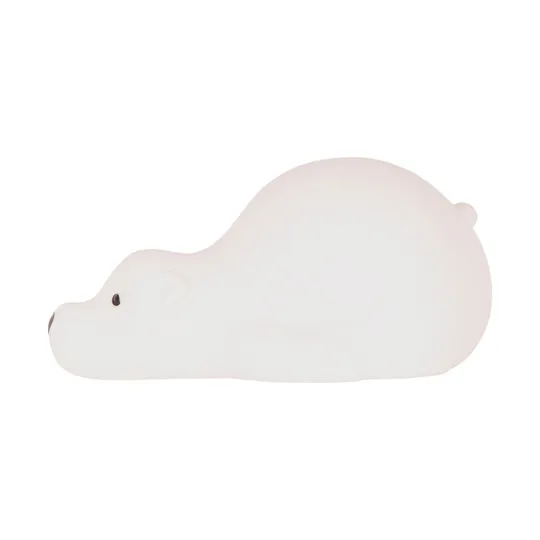 Flow Amsterdam Bjorn Projector