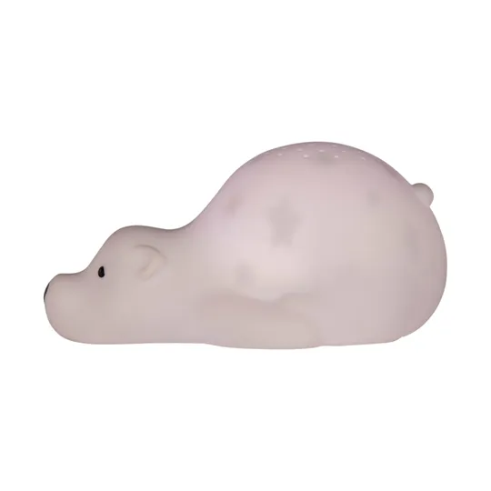 Flow Amsterdam Bjorn Projector