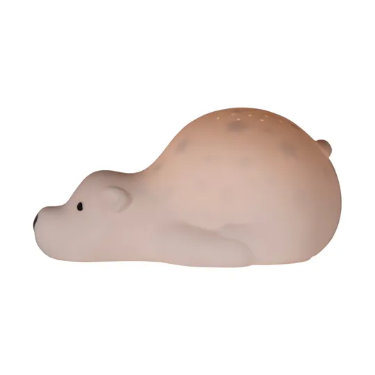 Flow Amsterdam Bjorn Projector