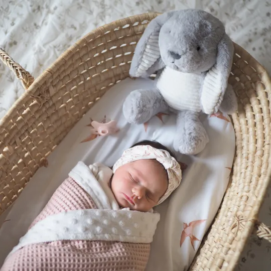 Flow Amsterdam Milo The Rabbit Hartslagknuffel