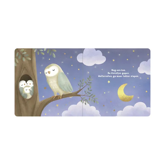 Little Dutch Boekje - Welterusten Kleintje