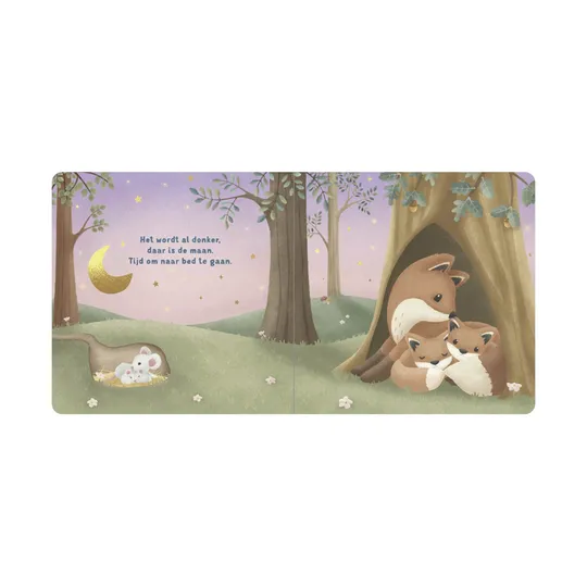 Little Dutch Boekje - Welterusten Kleintje