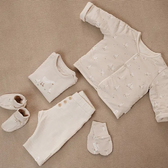 Little Dutch Slofjes - Little Goose