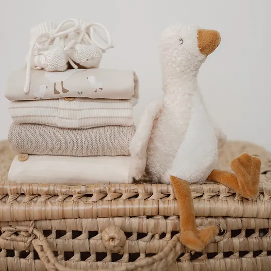 Little Dutch Boxpakje - Little Goose