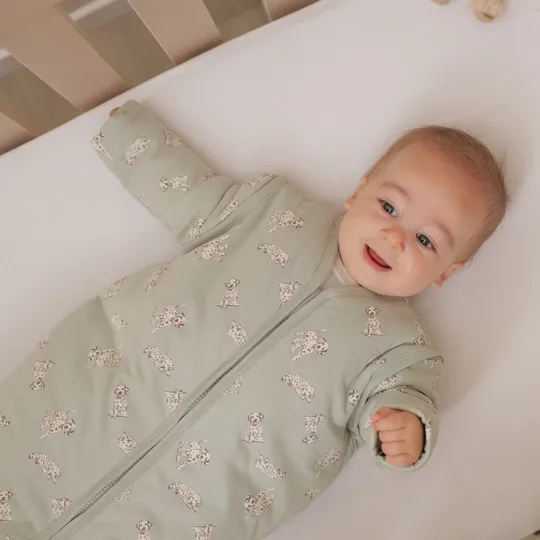 Babylook Dogs Winter Slaapzak - 70 cm