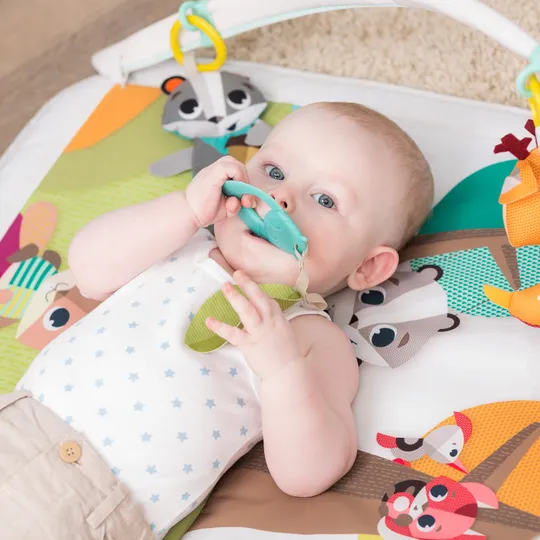 Tiny Love Dynamic Gymini DeLuxe Into The Forest