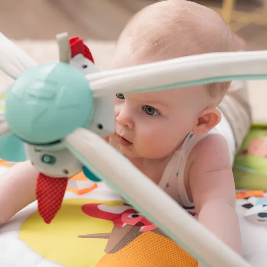 Tiny Love Dynamic Gymini DeLuxe Into The Forest