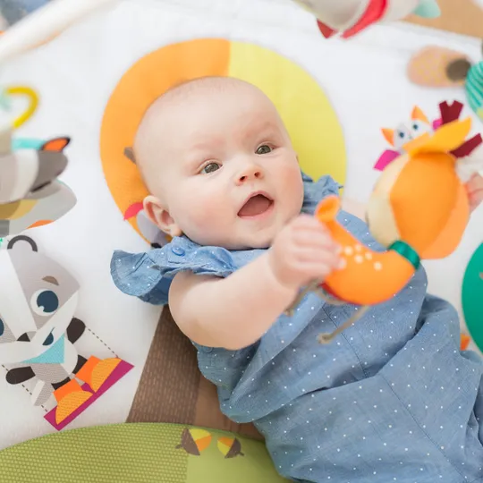 Tiny Love Dynamic Gymini DeLuxe Into The Forest